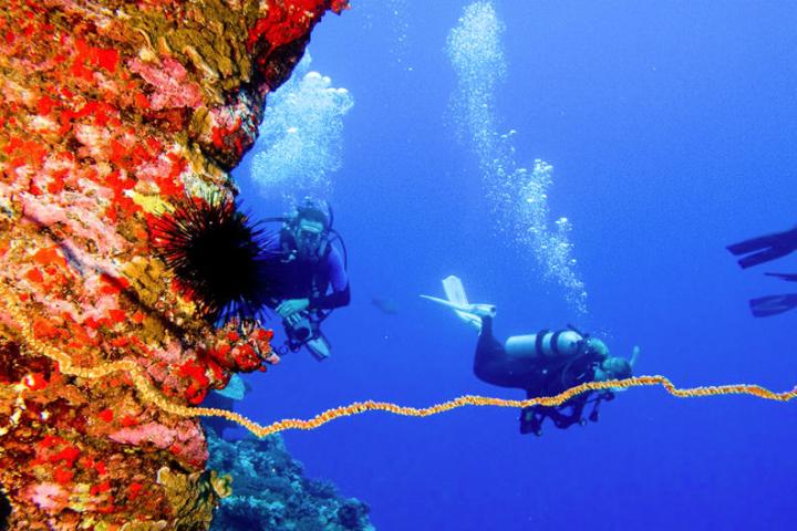 a person swimming underwater